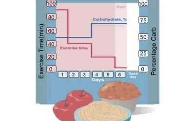 Endurance Series, Part 2: Does Carb loading improve performance for endurance exercise?